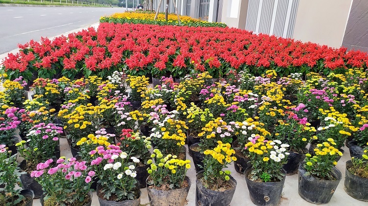 img-20200103-145608-6236-1578390292